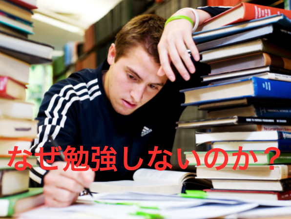 日本の社会人はなぜ勉強しないのか 損している Into The Wild